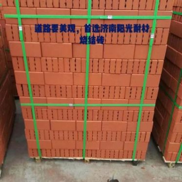 山東濰坊陶土燒結磚  燒結磚批發  廠家